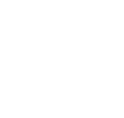 professional services